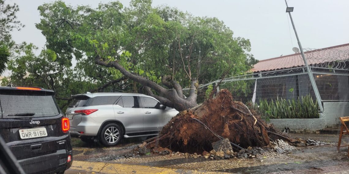 Vídeo e fotos: Moradores de Boa Esperança registram estragos causados pela chuva